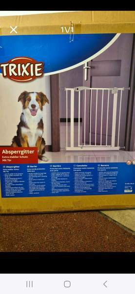 Koiraportti Iitti - изображение 1