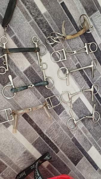 Kuolaimia Tampere - valokuva 1