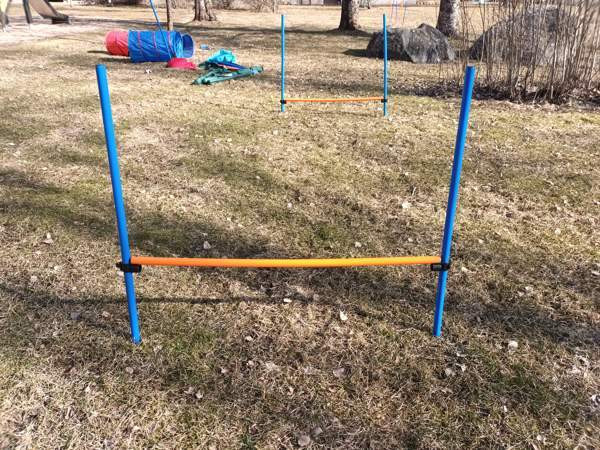 Agilityesteitä kotiin Akaa – foto 3