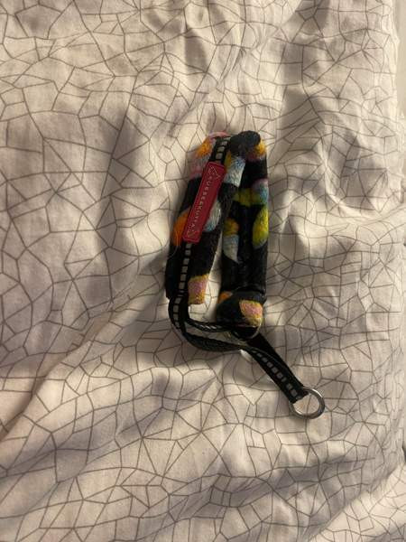 Kusse&Kutta pentupanta Vantaa - photo 2