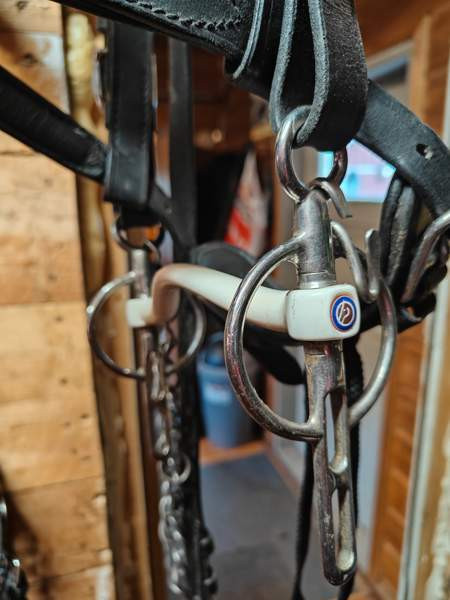 Trust Liverpool ajokuolain Raasepori - valokuva 2