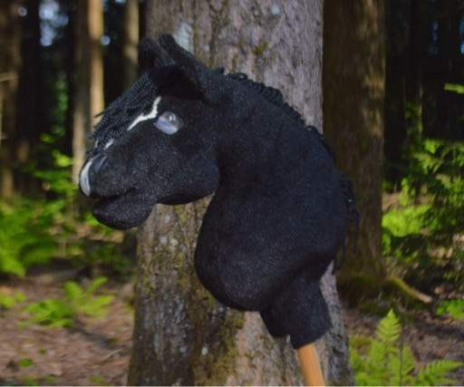 Musta keppihevonen Vantaa – foto 2