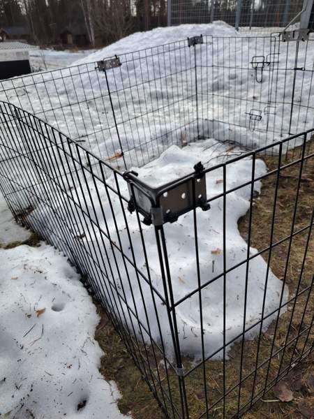 Pentuaitaus Kalajoki - valokuva 3