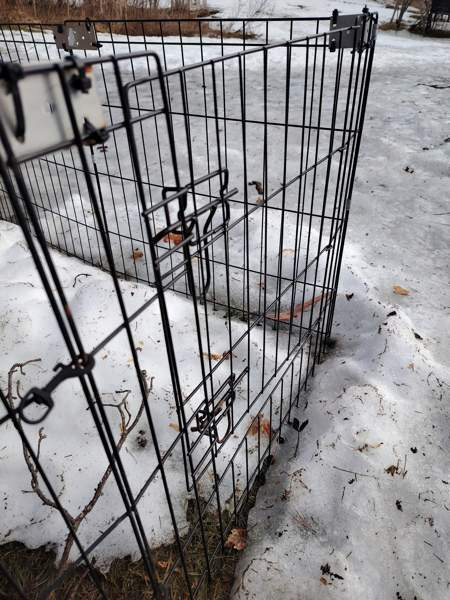 Pentuaitaus Kalajoki - valokuva 2