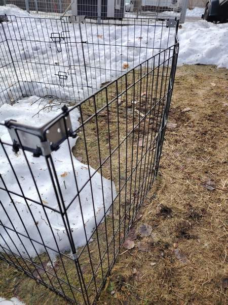 Pentuaitaus Kalajoki - valokuva 4