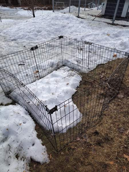 Pentuaitaus Kalajoki - valokuva 1