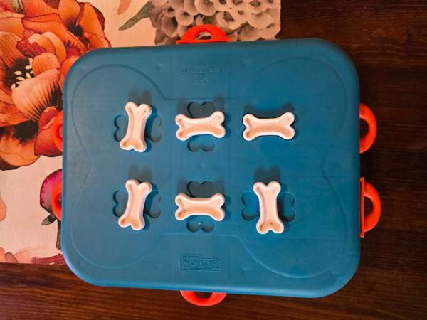 Koiran aktivointilelu Tuusula - valokuva 1