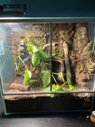 Exo terraario Kerava – foto 1