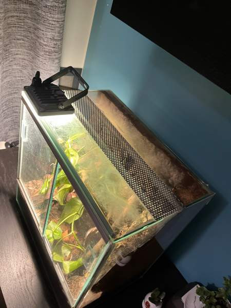 Exo terraario Kerava - photo 2