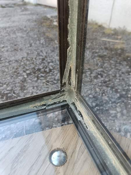 Terraario verkkokannella Тампере - изображение 4