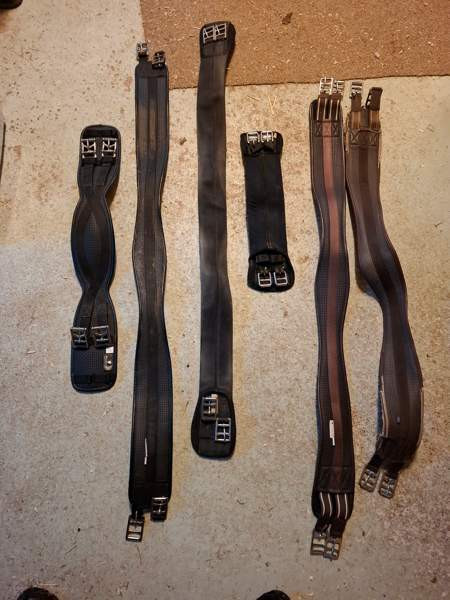 Hevos/ponitavaroita Hämeenkyrö – foto 1