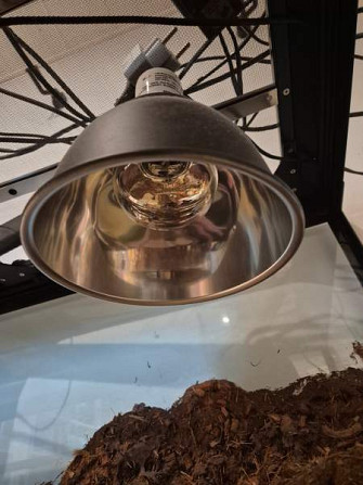 Myydään tilava ja täydellisesti varusteltu terraario kääpiöparta-agamalle tmv. Vantaa – foto 6