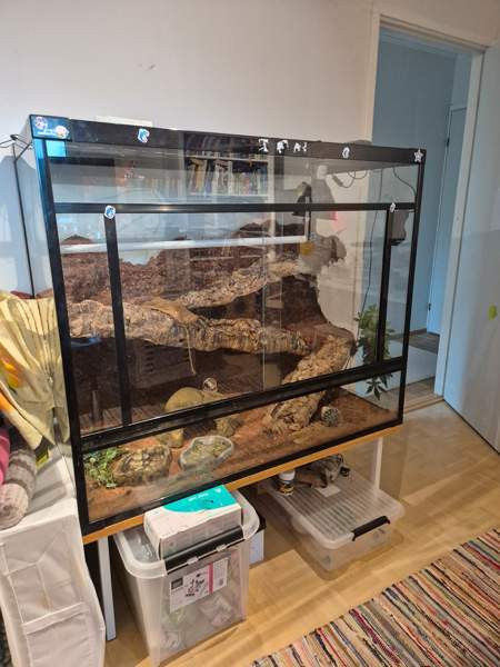 Myydään tilava ja täydellisesti varusteltu terraario kääpiöparta-agamalle tmv. Vantaa - photo 1