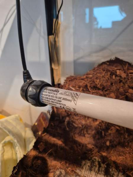 Myydään tilava ja täydellisesti varusteltu terraario kääpiöparta-agamalle tmv. Vantaa - photo 3