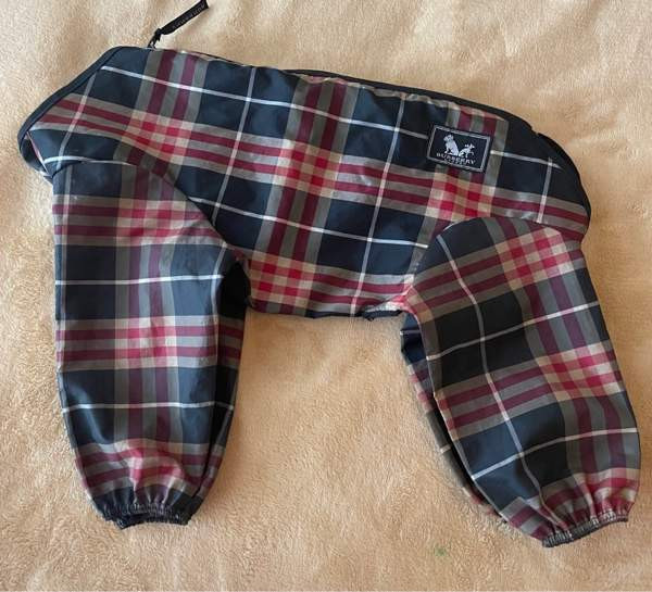 Burberry koiran sadepuku Pirkkala – foto 1
