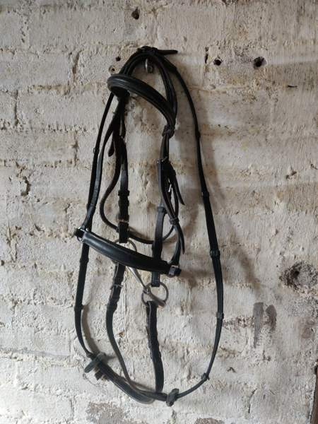 Ponin suitset kuolaimilla ja ohjilla Kouvola - photo 1