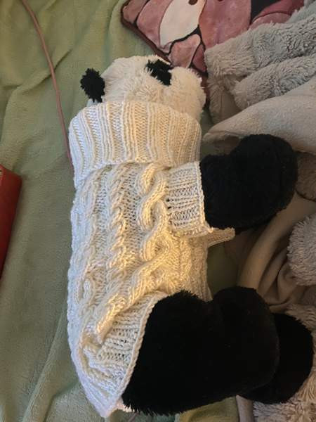 Koirien neuleita tilaustyönä! Jaervenpaeae - photo 2