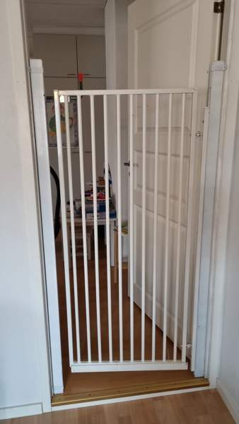 Portti koira/kissa Jyvaeskylae – foto 1