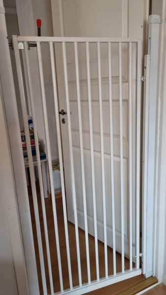 Portti koira/kissa Jyvaeskylae – foto 2