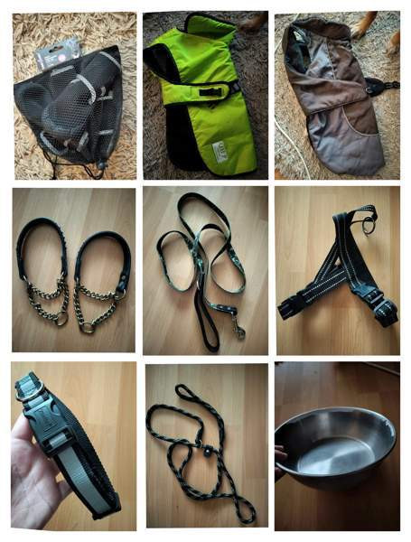 Erilaisia koiran tavaroita Hyvinge - photo 1