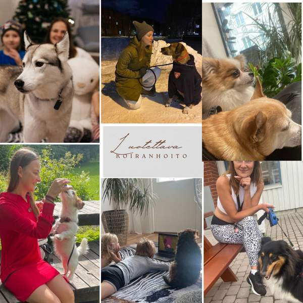 Koiranhoito Helsingissä Helsinki – foto 1