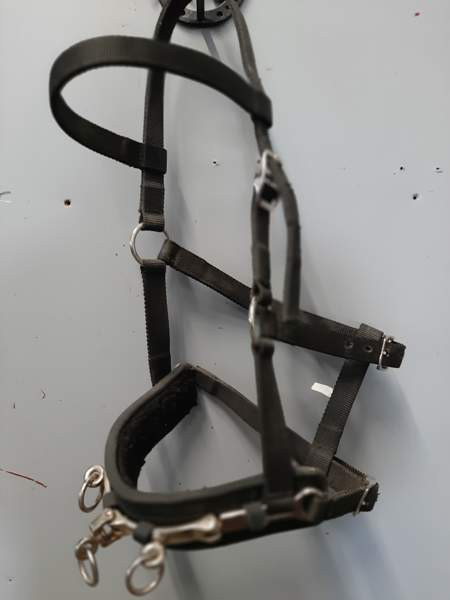 Juoksutuskapsoni Nurmijaervi - photo 1