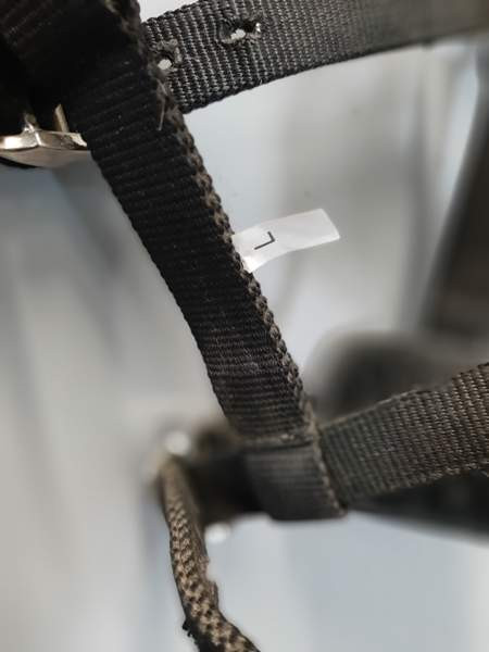 Juoksutuskapsoni Nurmijaervi - photo 4