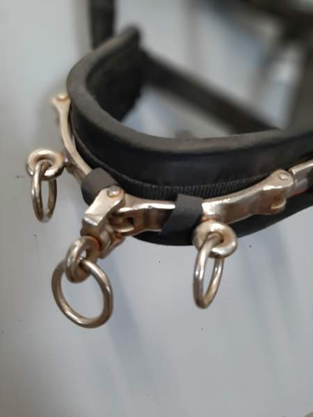 Juoksutuskapsoni Nurmijaervi - photo 3