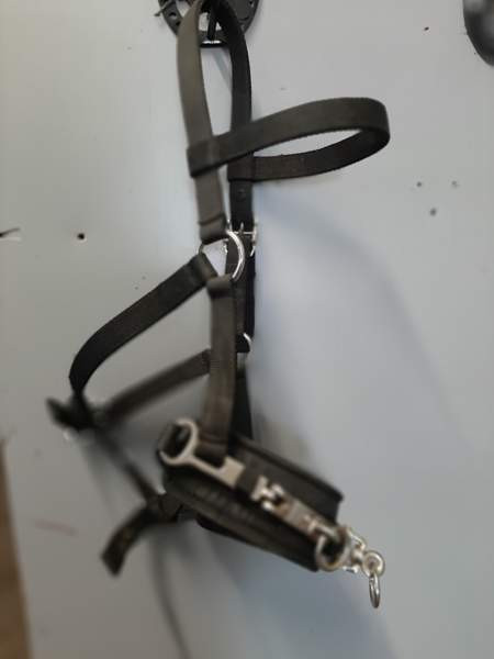 Juoksutuskapsoni Nurmijaervi - photo 2