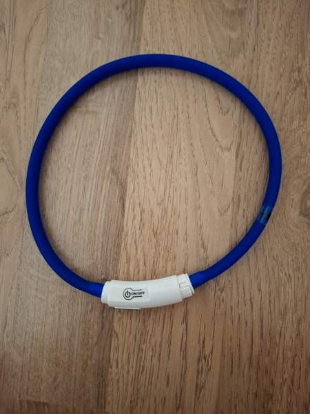 Pikkukoiran valopanta Hattula - valokuva 1