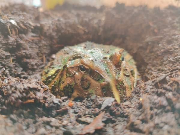 Pacman Turku - valokuva 1