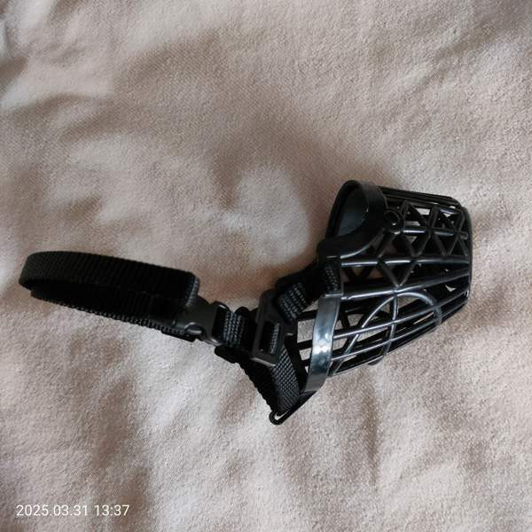 Koiran kuonokoppa koko 3 Helsinki - valokuva 1