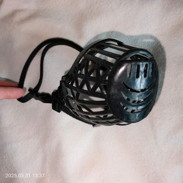 Koiran kuonokoppa koko 3 Helsinki - valokuva 2