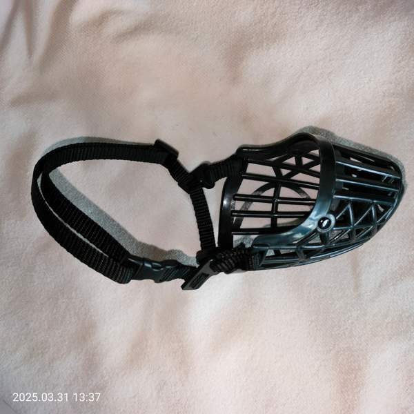 Koiran kuonokoppa koko 3 Helsinki - valokuva 3