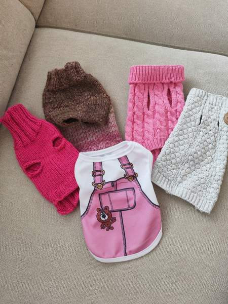 Pienen koiran vaatteita Jyvaeskylae - photo 1