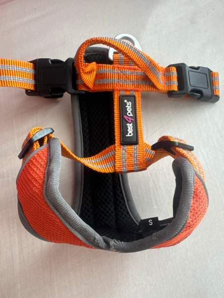 pienen koiran valjaat Forssa - photo 3