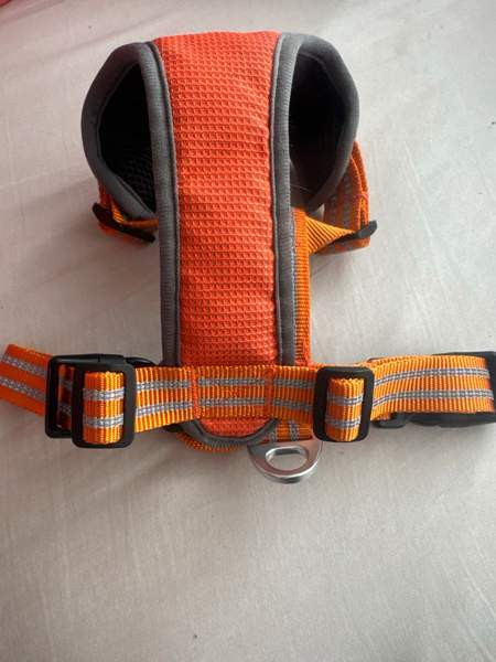 pienen koiran valjaat Forssa - photo 2