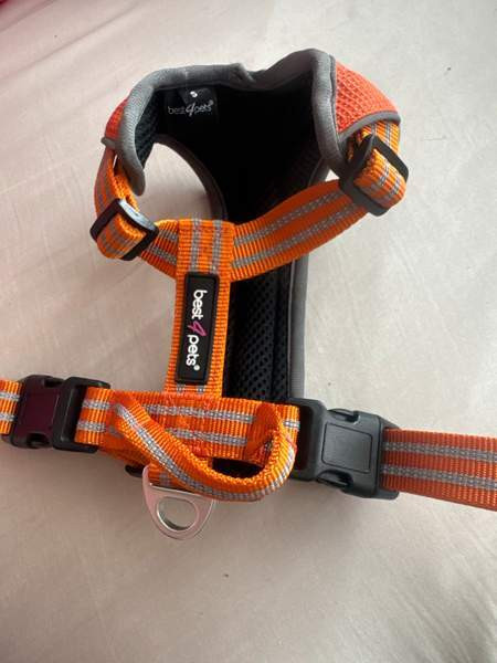 pienen koiran valjaat Forssa - photo 1