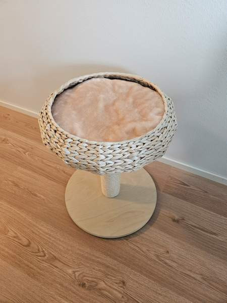 Kissan raapimispuu Helsinki – foto 3