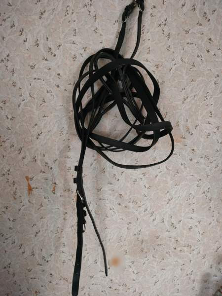 Ponin ajo-ohjat Kemiönsaari - photo 2