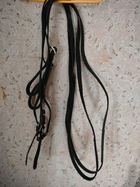 Ponin ajo-ohjat Kemiönsaari - photo 1