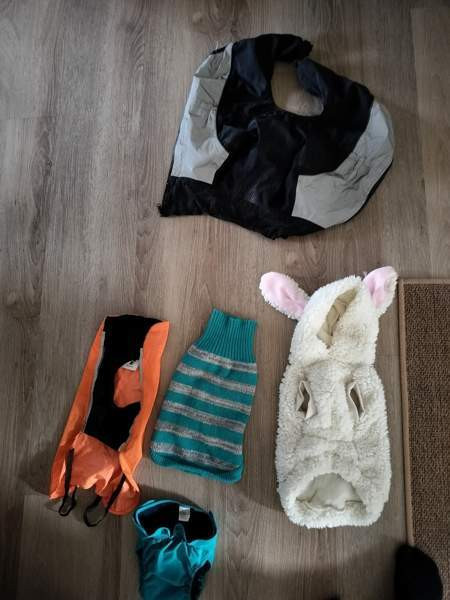 Koiran hoitotarvikkeita, leluja, hihnoja jne Керава - изображение 2