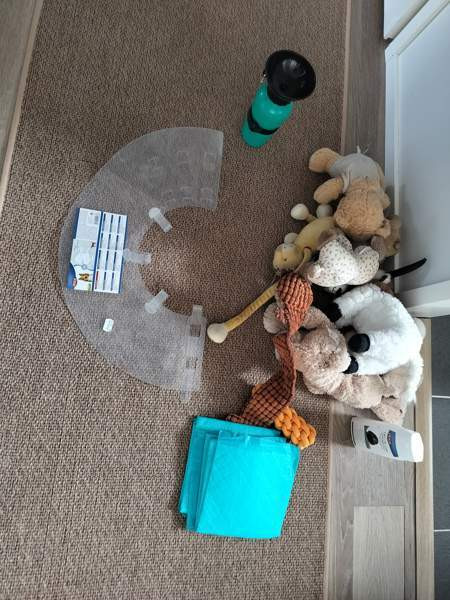 Koiran hoitotarvikkeita, leluja, hihnoja jne Керава - изображение 1