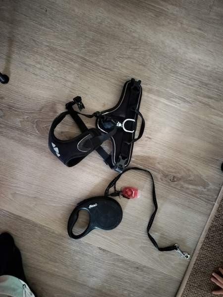 Koiran hoitotarvikkeita, leluja, hihnoja jne Керава - изображение 3