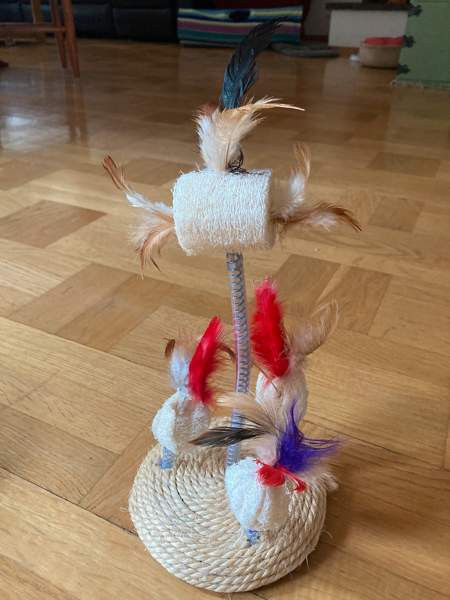 Kissan leluja Турку - изображение 1