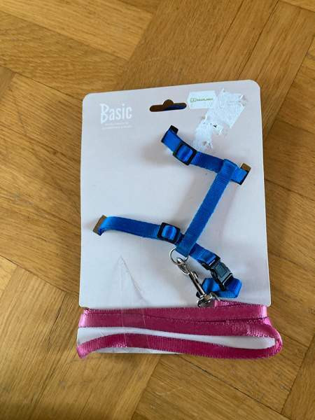 Kissan leluja Турку - изображение 3