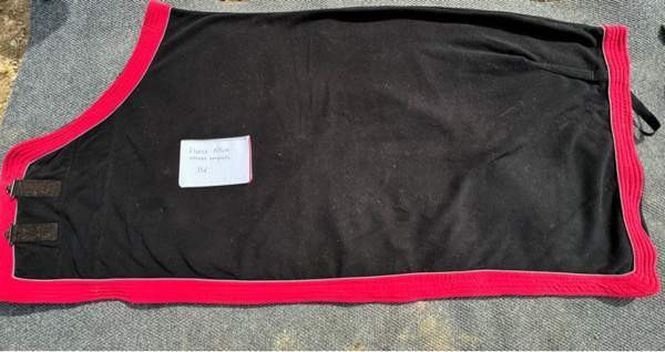 Useampi loimi Турку - изображение 3