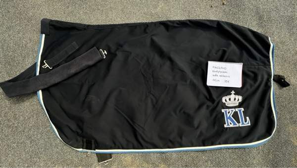 Useampi loimi Турку - изображение 2