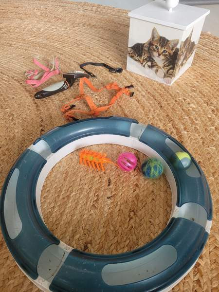 Kissan valjaita, leluja Ювяскюля - изображение 1