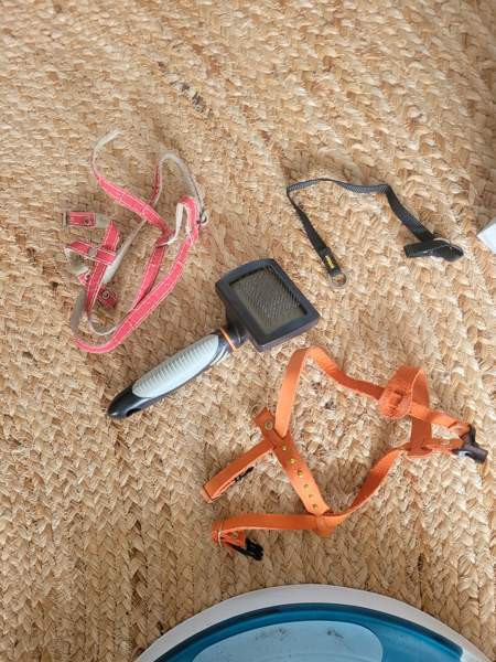 Kissan valjaita, leluja Ювяскюля - изображение 2